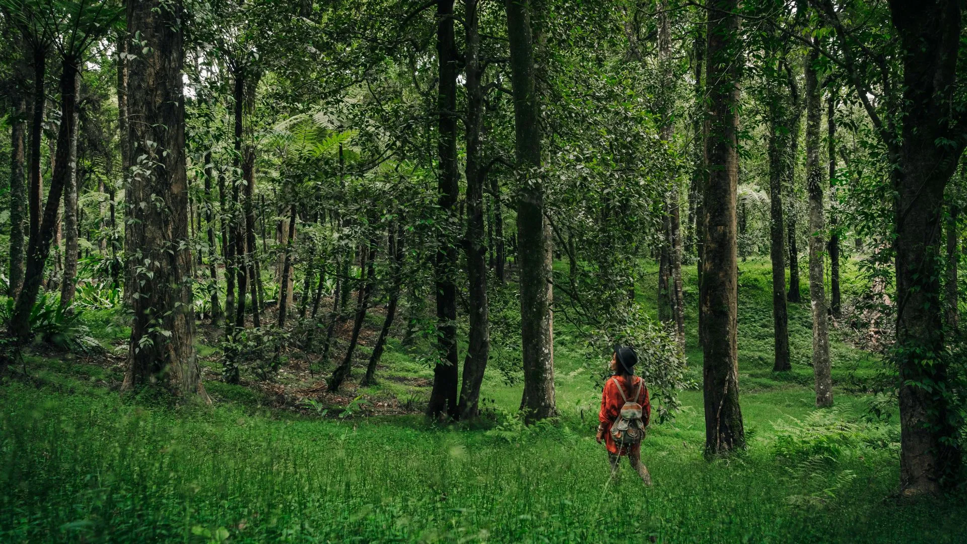 The Connection Between Nature and Wellness: How Eco-Friendly Travel Can Enhance Your Health
